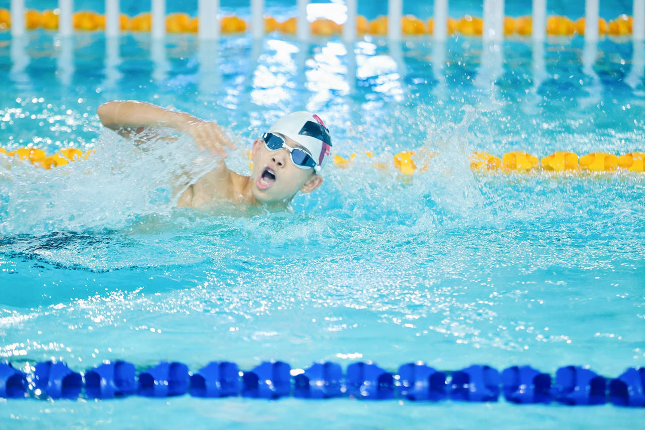 加油助威, 上午, 游泳比赛