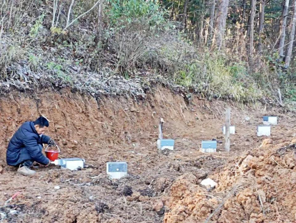 在本雪季进, 雪场重点对, AQHZV